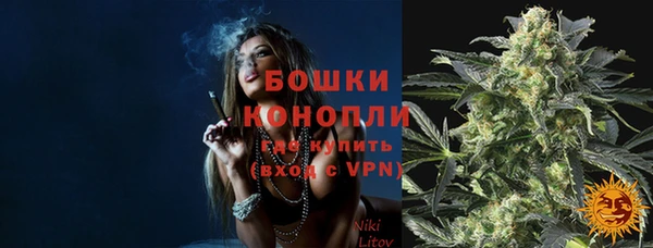 крисы Магадан