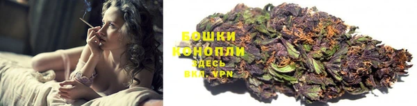 крисы Магас