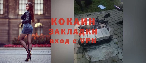 крисы Магас