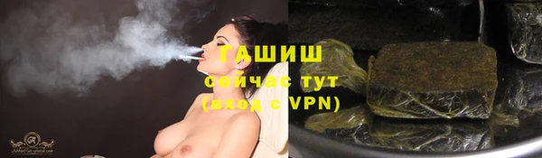 крисы Магас