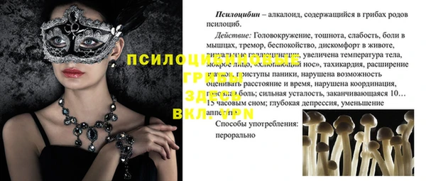бошки Медвежьегорск