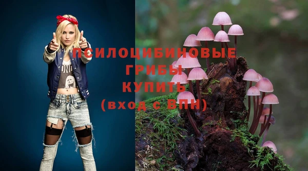 крисы Магадан