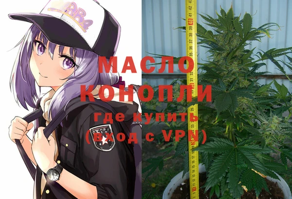 крисы Магас