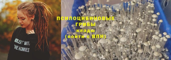 крисы Магадан