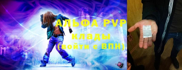крисы Магадан