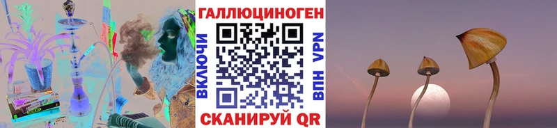 Псилоцибиновые грибы прущие грибы  hydra ТОР  Дмитров 