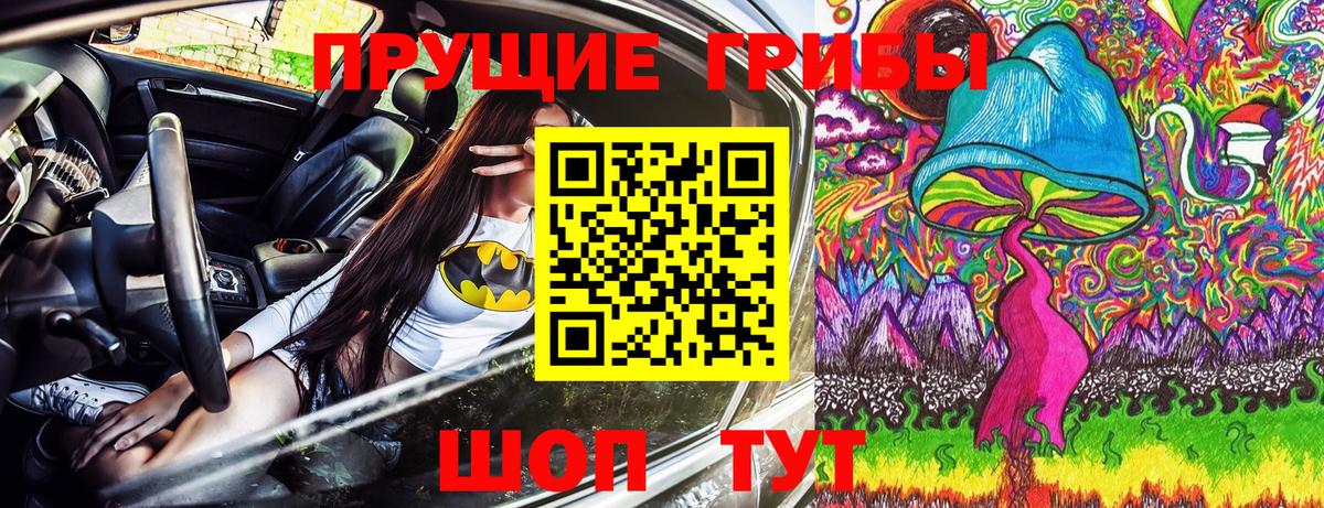 Псилоцибиновые грибы Psilocybe  Вход с VPN  Дмитров 