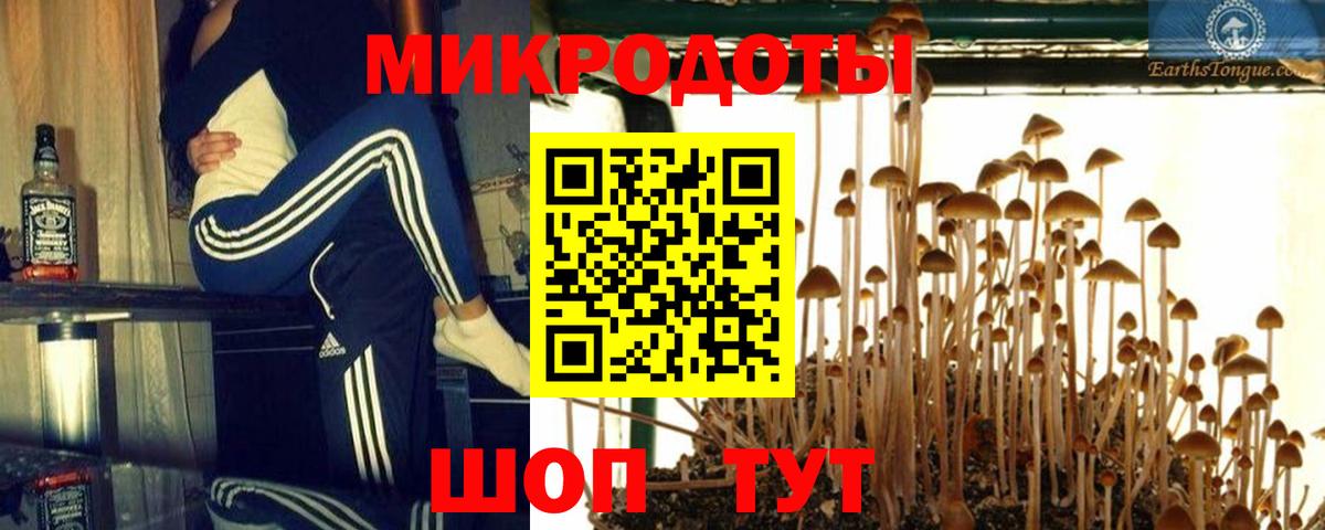 Псилоцибиновые грибы мухоморы Дмитров