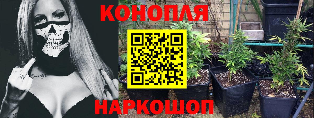 Шишки марихуана LSD WEED  Дмитров  Канабис THC 21%  Шишки марихуана индика  Марихуана ГИДРОПОН 